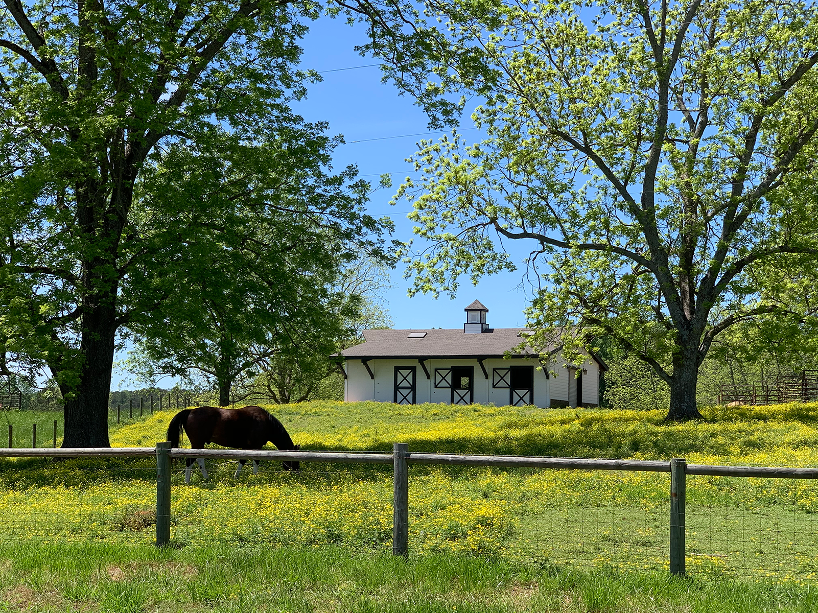 RANCH LIFE